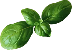 Pablito's Peruvian Chicken