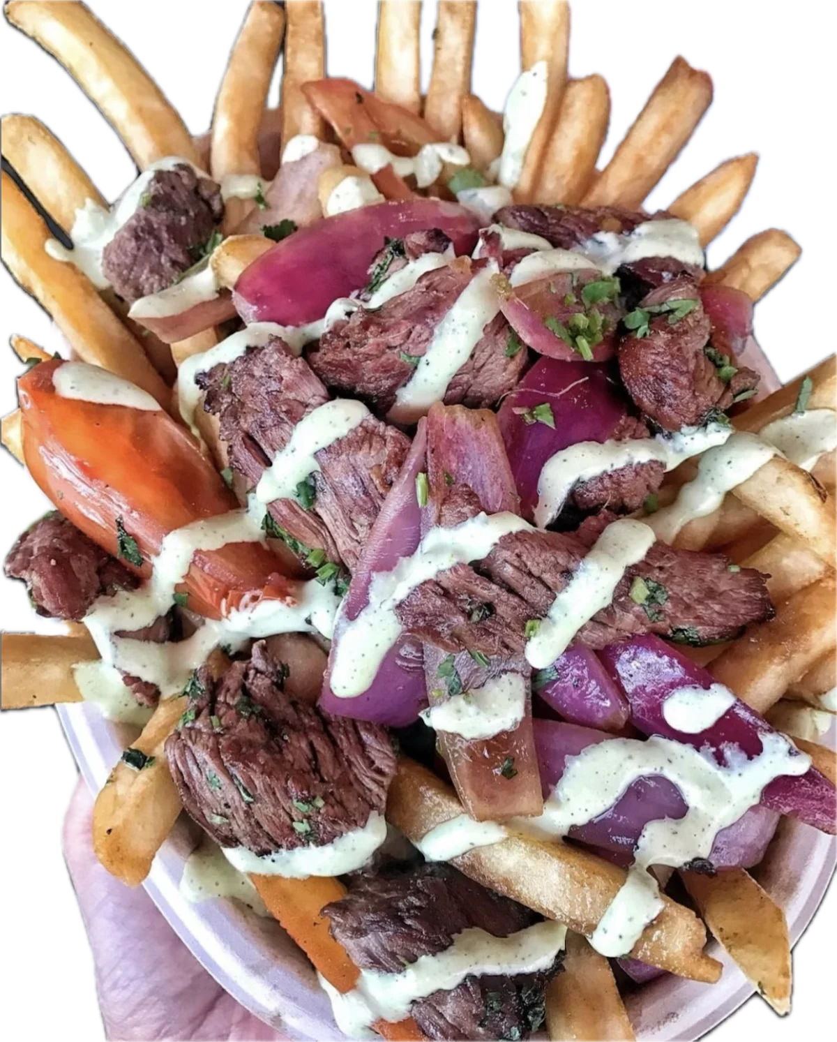 Lomo Saltado Fries