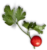 Pablito's Peruvian Chicken